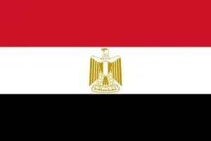 Bosaly Technology Services in Egypt